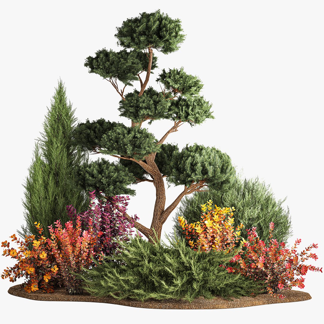 3D Garden Of Nivaki Thuja Juniper And Barberry 1174 Model - TurboSquid  2013408