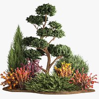Garden of nivaki thuja juniper and barberry 1174