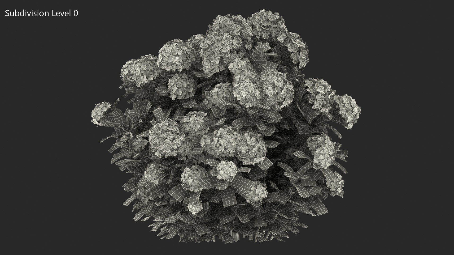 hydrangea macrophylla pink annabelle model https://p.turbosquid.com/ts-thumb/8I/q6C8SW/BFYHOzvY/hydrangeamacrophyllapinkannabellevray3dmodel013/jpg/1597166142/1920x1080/fit_q87/5a6ae33a875cb8d97d24d60750d39a7b2b1029e3/hydrangeamacrophyllapinkannabellevray3dmodel013.jpg