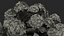 Hydrangea Macrophylla Pink Annabelle