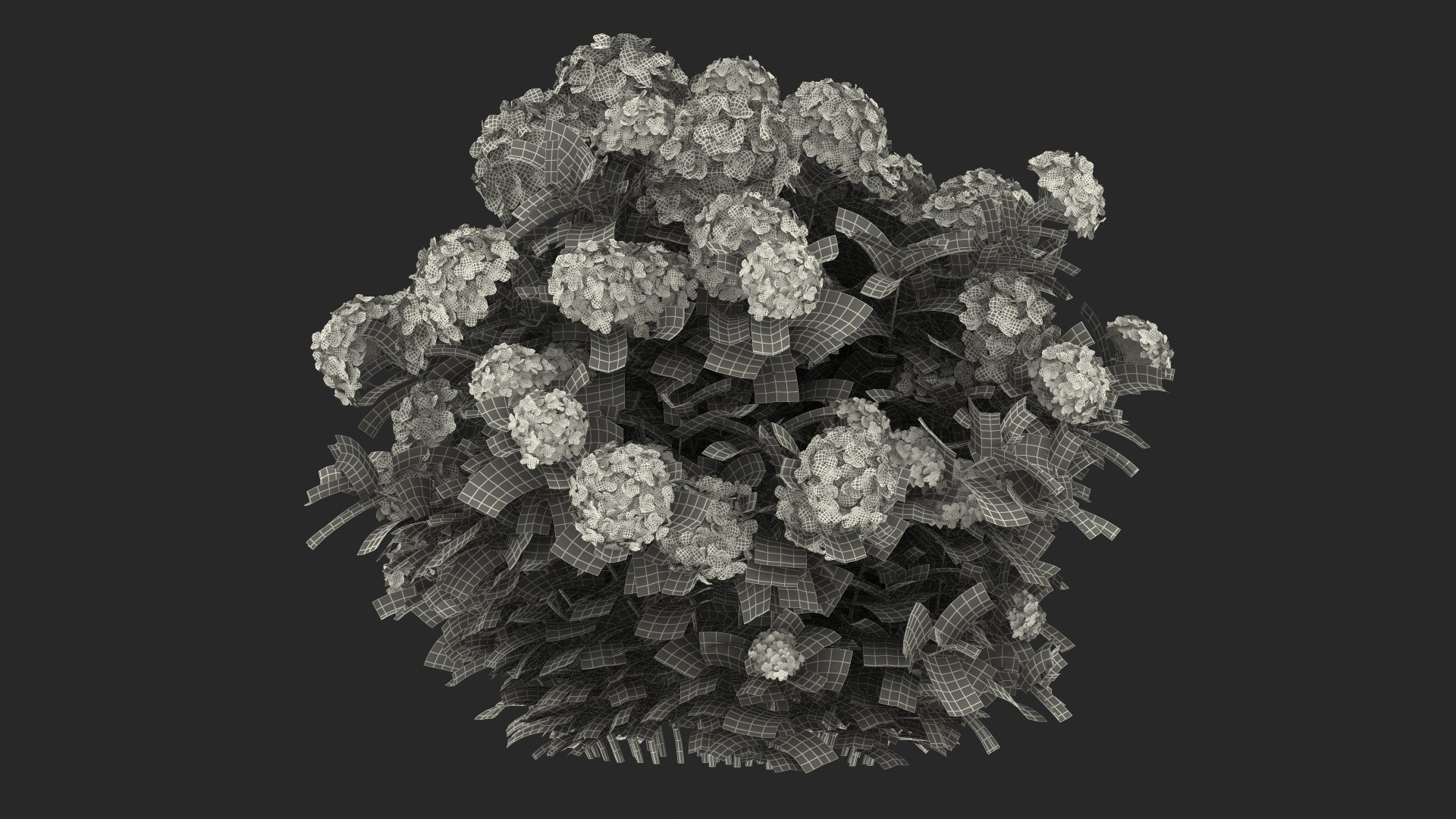 hydrangea macrophylla pink annabelle model https://p.turbosquid.com/ts-thumb/8I/q6C8SW/Vt1JoNTn/hydrangeamacrophyllapinkannabellevray3dmodel021/jpg/1597166229/1920x1080/fit_q87/f51e660b147983d70af29858c79aabe40b55f726/hydrangeamacrophyllapinkannabellevray3dmodel021.jpg