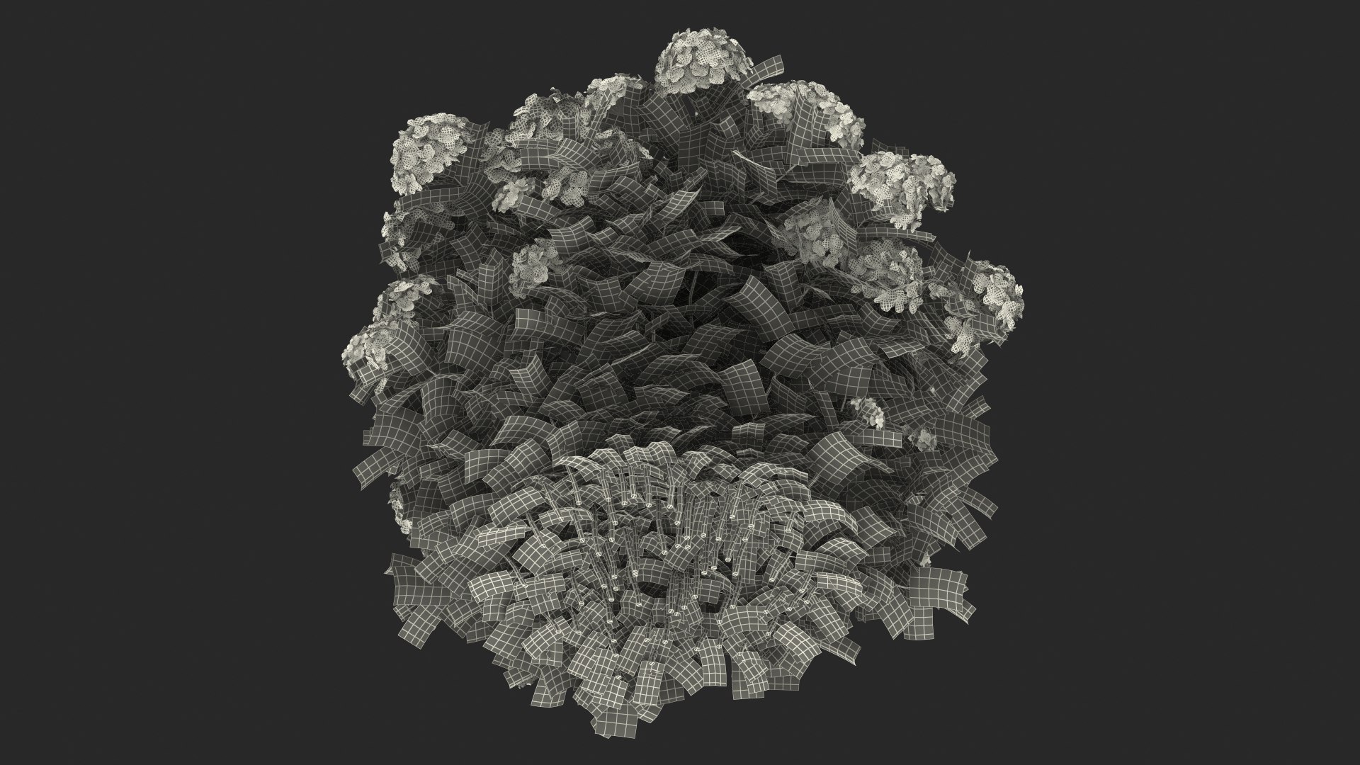 hydrangea macrophylla pink annabelle model https://p.turbosquid.com/ts-thumb/8I/q6C8SW/o5JDGu7R/hydrangeamacrophyllapinkannabellevray3dmodel027/jpg/1597166294/1920x1080/fit_q87/446b9570a6be3fc3662fb36d8e7210953dba087b/hydrangeamacrophyllapinkannabellevray3dmodel027.jpg