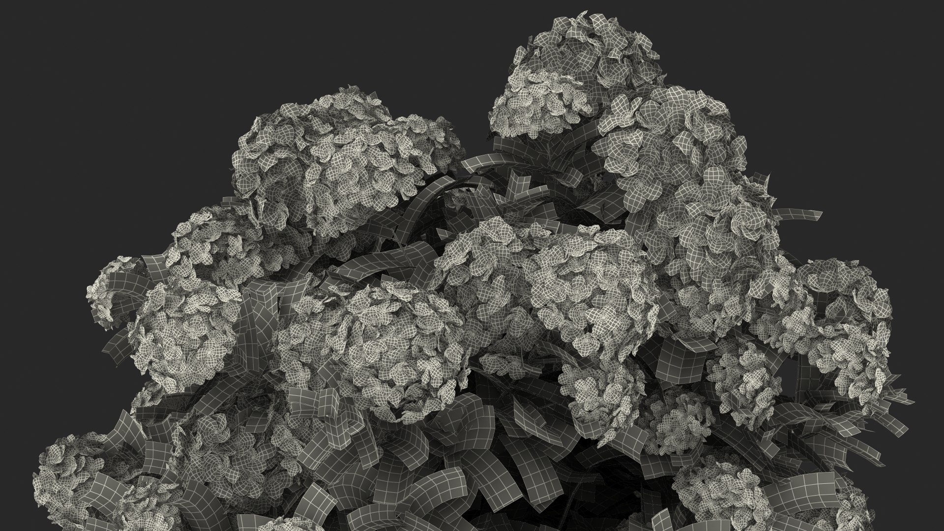 hydrangea macrophylla pink annabelle model https://p.turbosquid.com/ts-thumb/8I/q6C8SW/rARjhCiJ/hydrangeamacrophyllapinkannabellevray3dmodel022/jpg/1597166240/1920x1080/fit_q87/c09c7b9c4c2a77ff790c6257aafc6b88c59ab8fb/hydrangeamacrophyllapinkannabellevray3dmodel022.jpg
