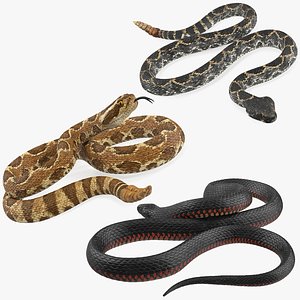 Snakes Rigged for Maya Collection 3D model