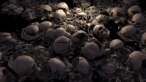 Broken Skulls with Spider Webs COLLECTION