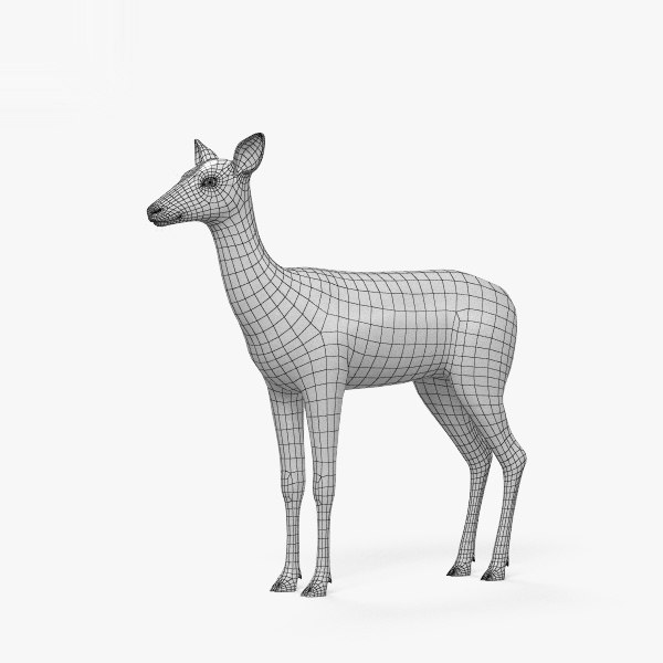 Doe deer mammal 3D model - TurboSquid 1438582
