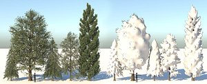 realistic seasonal tree leaves 3D