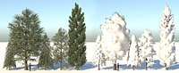 Season Tree