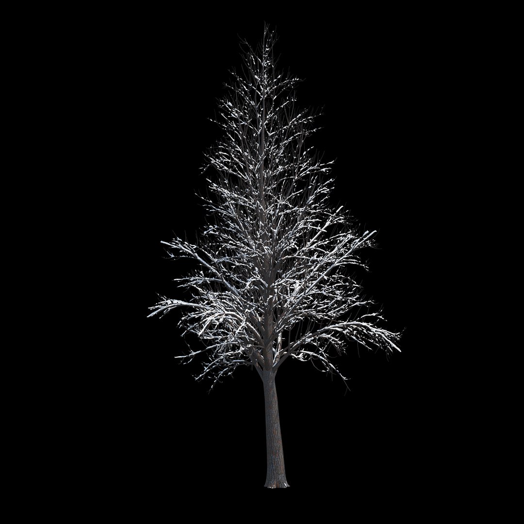 winter tree 034 snow 3D https://p.turbosquid.com/ts-thumb/8J/GzfgZd/9MIRwXfm/06copy/jpg/1514446280/1920x1080/fit_q87/bf11ccc137e27d469f84326d80a0ba764f078369/06copy.jpg