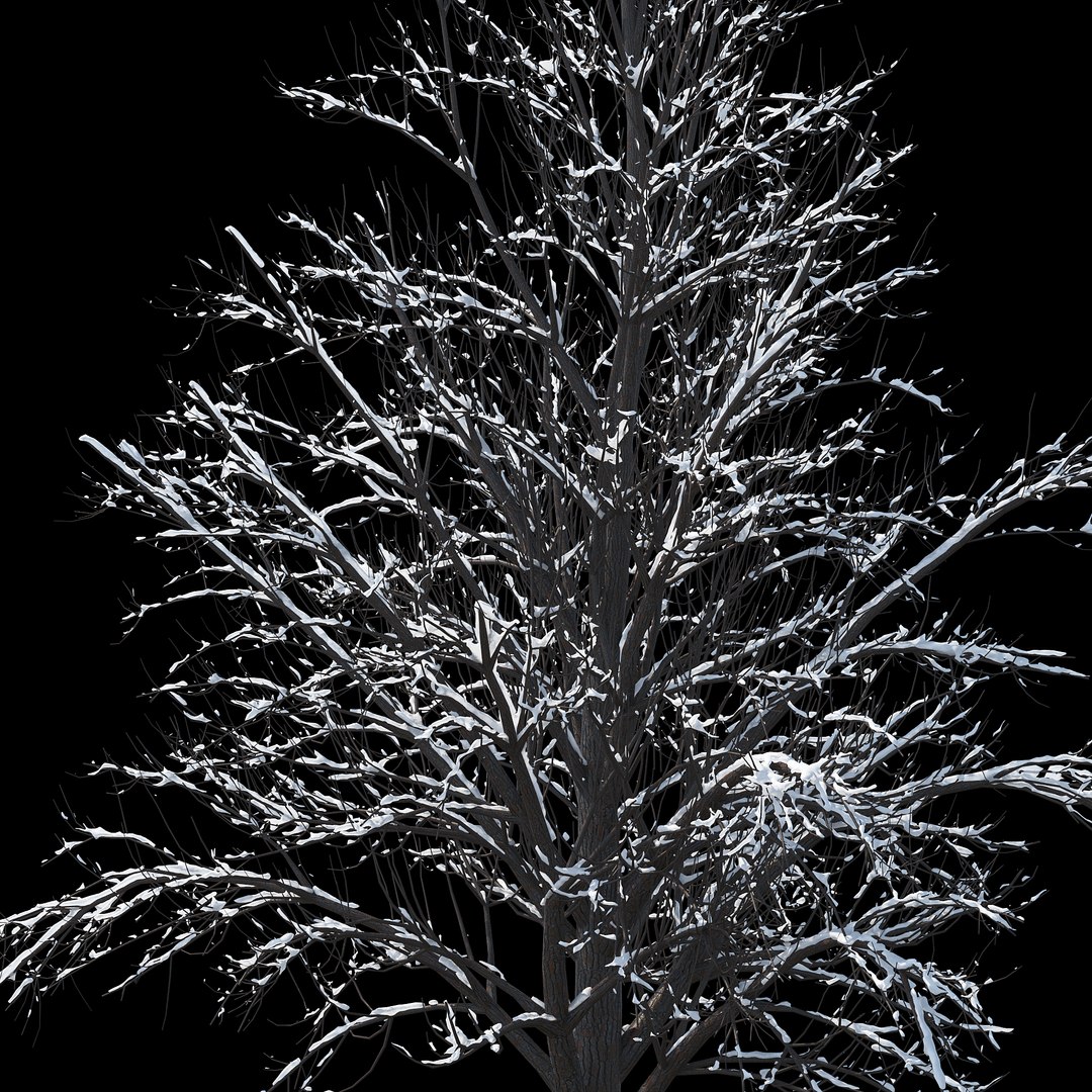 winter tree 034 snow 3D https://p.turbosquid.com/ts-thumb/8J/GzfgZd/GA5uXiQM/011copy/jpg/1514446280/1920x1080/fit_q87/29c81e36058c374ee32e037319af89f9291ddbe9/011copy.jpg