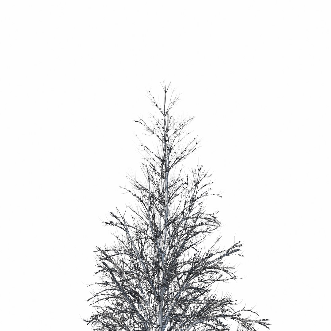 winter tree 034 snow 3D https://p.turbosquid.com/ts-thumb/8J/GzfgZd/J7vGvUtW/w_010copy/jpg/1514446280/1920x1080/fit_q87/3314937180703f3f18e1da097b2092d7ff34a661/w_010copy.jpg