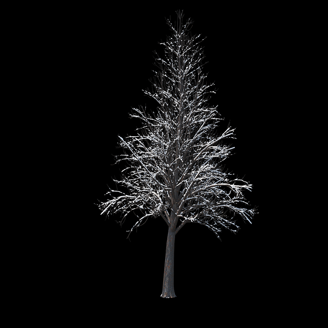 winter tree 034 snow 3D https://p.turbosquid.com/ts-thumb/8J/GzfgZd/Kvqpfisy/winter_tree_turntable_0000copy/jpg/1514446300/1920x1080/turn_fit_q99/7723ec73975d1c3329bba71b4ce988731bce984c/winter_tree_turntable_0000copy-1.jpg