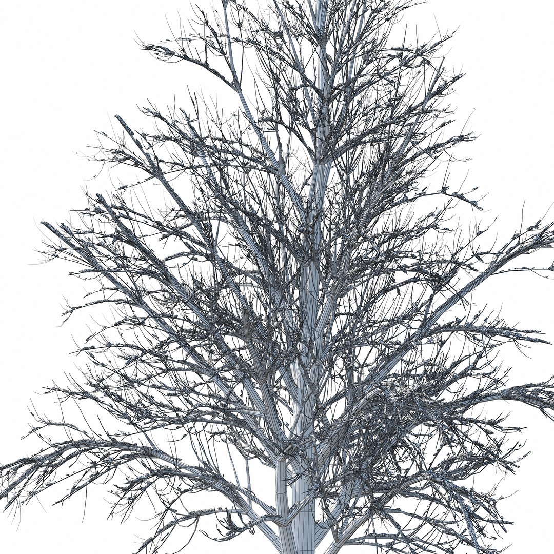 winter tree 034 snow 3D https://p.turbosquid.com/ts-thumb/8J/GzfgZd/NuUfw72H/w_011copy/jpg/1514446280/1920x1080/fit_q87/a79f34675d7cfb84331ab6473a0f4128d70b3760/w_011copy.jpg