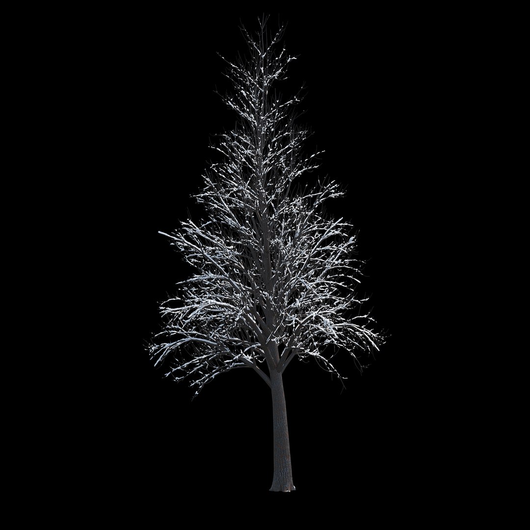 winter tree 034 snow 3D https://p.turbosquid.com/ts-thumb/8J/GzfgZd/Ocfz9MmP/05copy/jpg/1514446280/1920x1080/fit_q87/4e36f74f80a54f2f7d0e84fb1fece063b22e4800/05copy.jpg