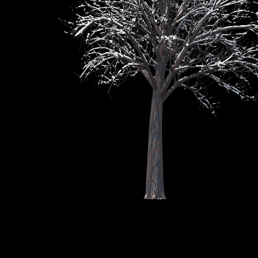 winter tree 034 snow 3D https://p.turbosquid.com/ts-thumb/8J/GzfgZd/PL3XPkUf/012copy/jpg/1514446280/1920x1080/fit_q87/ffdc002929f876fe2e6e820d4e39084fd3654d3f/012copy.jpg