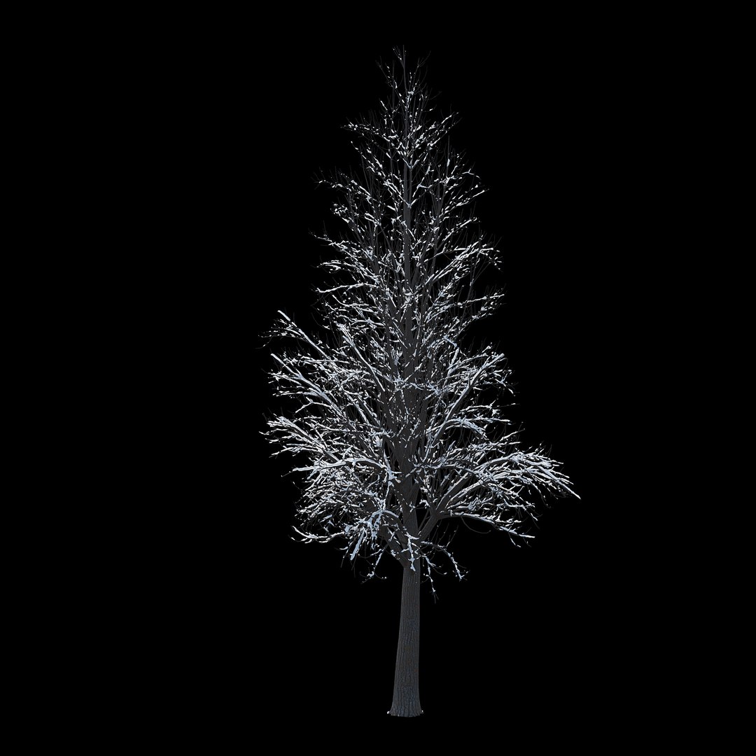 winter tree 034 snow 3D https://p.turbosquid.com/ts-thumb/8J/GzfgZd/QCtKh1Z6/03copy/jpg/1514446280/1920x1080/fit_q87/c0c5baef1d3199533fa0bfbd6f5bfb801a9f56d9/03copy.jpg