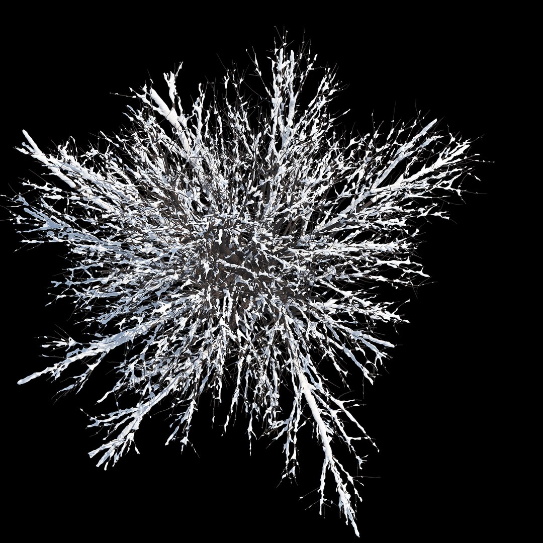 winter tree 034 snow 3D https://p.turbosquid.com/ts-thumb/8J/GzfgZd/TZqV3UAI/09copy/jpg/1514446280/1920x1080/fit_q87/6a7b5e36ef81f8536abcd7a8c782b369e65febe0/09copy.jpg