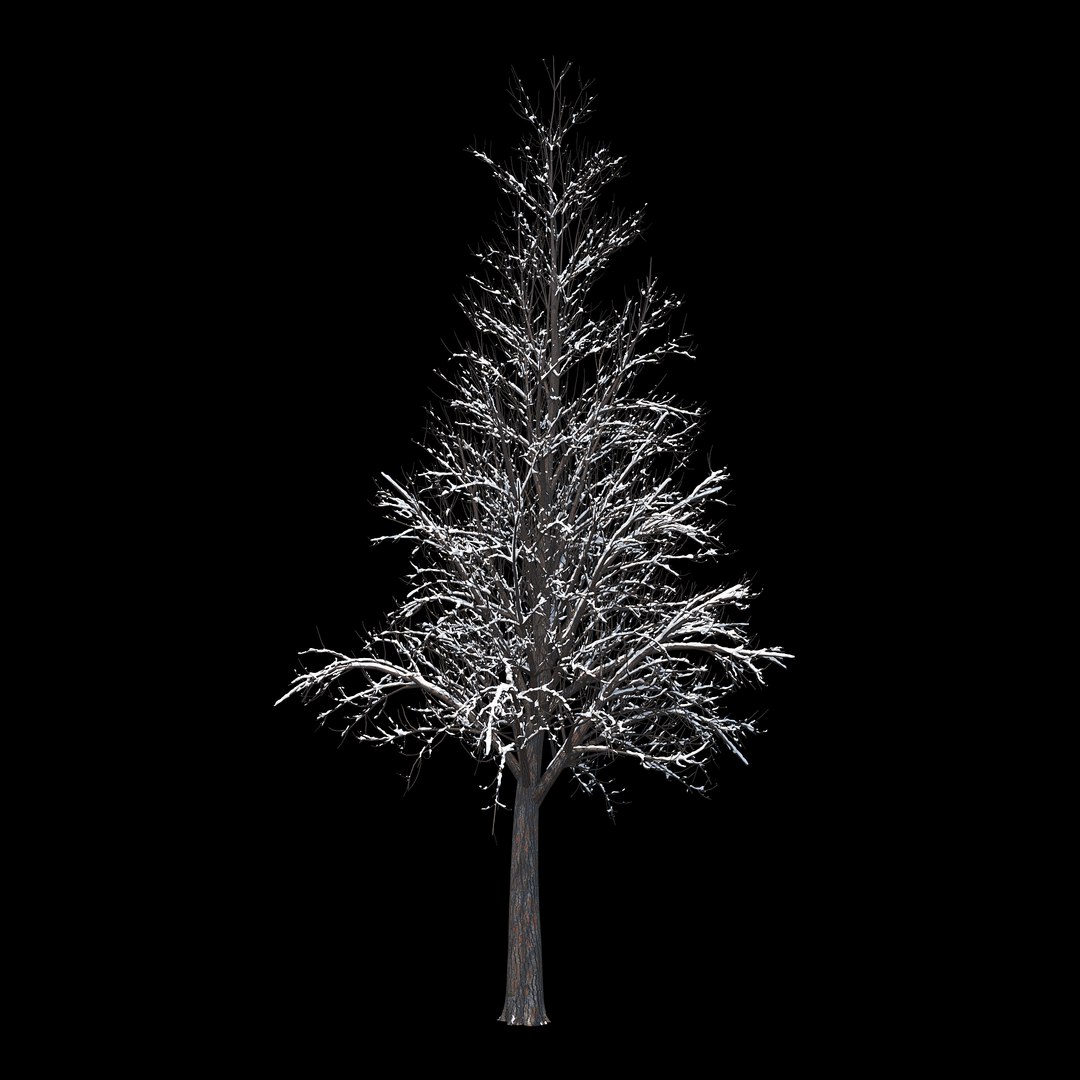 winter tree 034 snow 3D https://p.turbosquid.com/ts-thumb/8J/GzfgZd/UoeEyzho/08copy/jpg/1514446280/1920x1080/fit_q87/fcfa8ec4318fdec7fc2dad966cf4914884e551c0/08copy.jpg