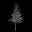 Winter Tree 034