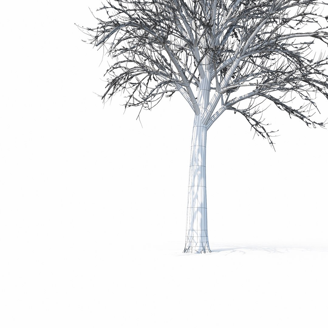 winter tree 034 snow 3D https://p.turbosquid.com/ts-thumb/8J/GzfgZd/Uv5Z7tws/w_012copy/jpg/1514446280/1920x1080/fit_q87/f08274f5f16438057f5c5c2528cdff3bb016a8a2/w_012copy.jpg