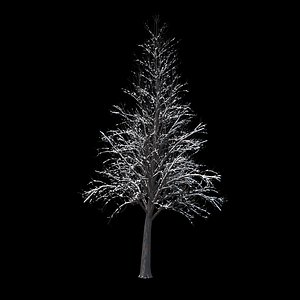 winter tree 034 snow 3D