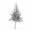 Winter Tree 034