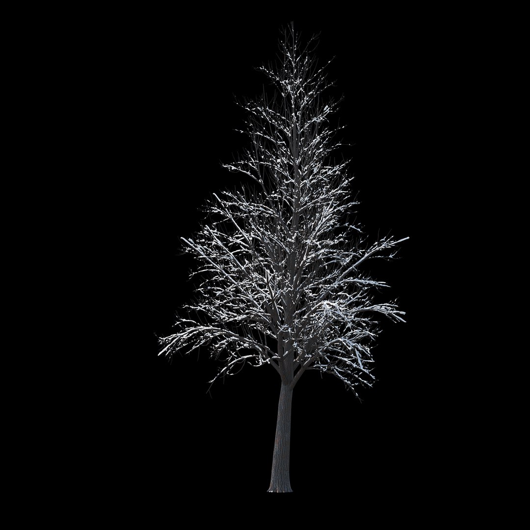 winter tree 034 snow 3D https://p.turbosquid.com/ts-thumb/8J/GzfgZd/rZ2JlgLY/02copy/jpg/1514446280/1920x1080/fit_q87/5b24bdb759c9a3fd3d0ac60684193f9f3ff9195e/02copy.jpg