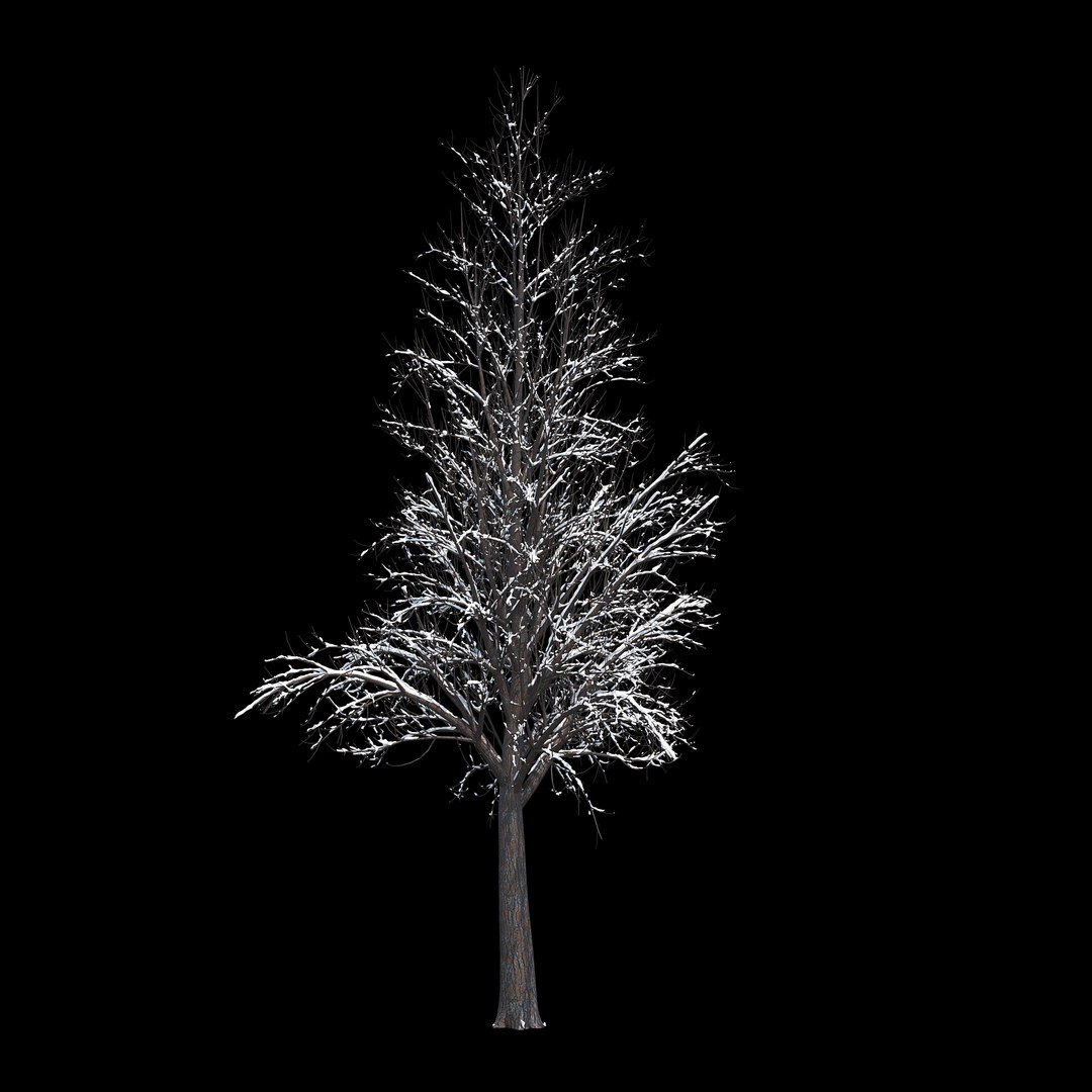 winter tree 034 snow 3D https://p.turbosquid.com/ts-thumb/8J/GzfgZd/tpy9VG04/07copy/jpg/1514446280/1920x1080/fit_q87/5d5986919d95dcd153f5777916fd686dd5afe5ca/07copy.jpg