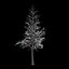 Winter Tree 034