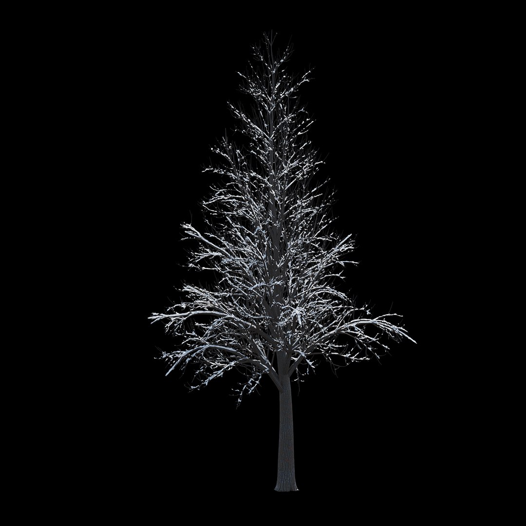 winter tree 034 snow 3D https://p.turbosquid.com/ts-thumb/8J/GzfgZd/uBVHCuOq/04copy/jpg/1514446280/1920x1080/fit_q87/c6c3e8f2d37c3c195aa38a7fe3cda4b568657018/04copy.jpg