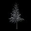 Winter Tree 034