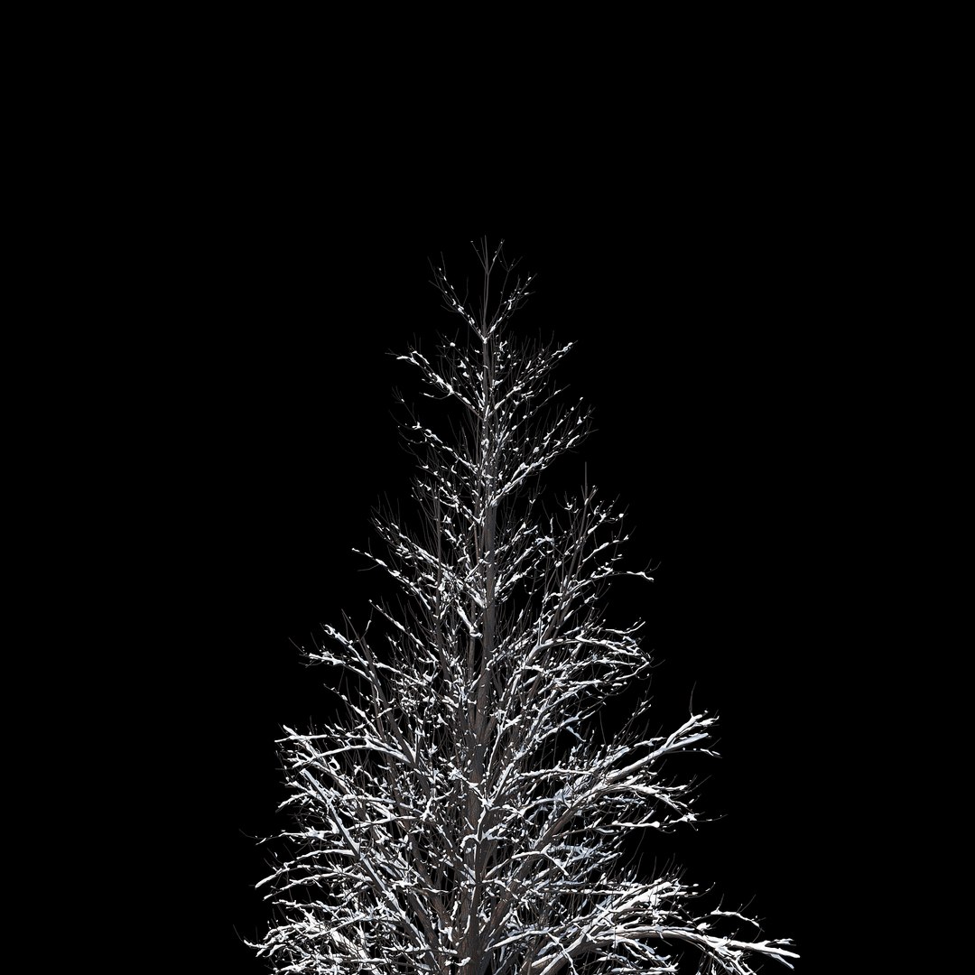 winter tree 034 snow 3D https://p.turbosquid.com/ts-thumb/8J/GzfgZd/z11E0vwo/010copy/jpg/1514446280/1920x1080/fit_q87/f30bf2eeafeeab86b7ab782f8d14468ec4321b0f/010copy.jpg