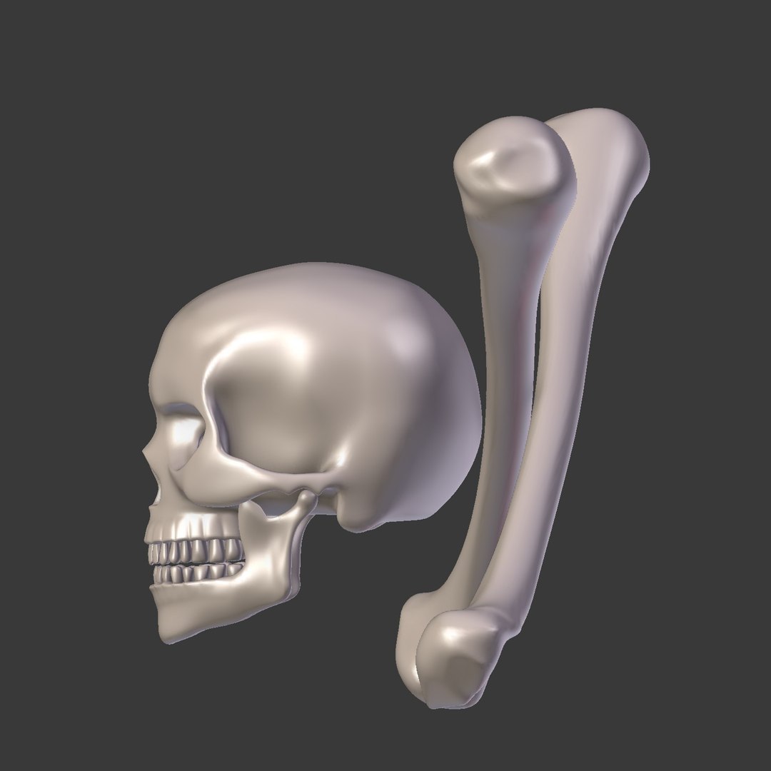 pirate skull 3D model https://p.turbosquid.com/ts-thumb/8J/WT0ayJ/IqeMCNxY/i24/jpg/1562671448/1920x1080/fit_q87/4d5680715335968542c160f54e5554206934c871/i24.jpg