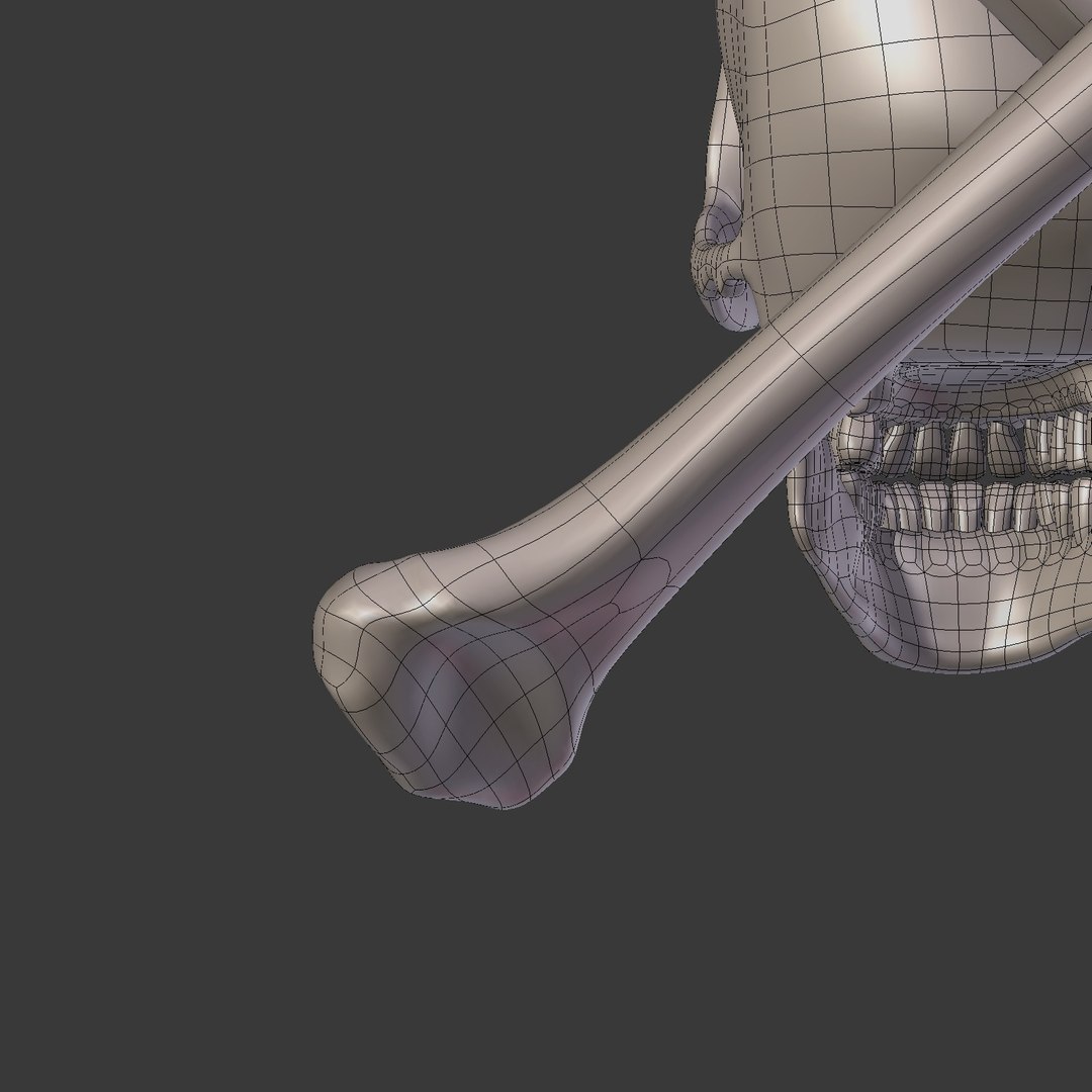 pirate skull 3D model https://p.turbosquid.com/ts-thumb/8J/WT0ayJ/kqGM71Hy/i21/jpg/1562671448/1920x1080/fit_q87/338bd399bc4e08deba0f6c4168674adf6e32c13e/i21.jpg