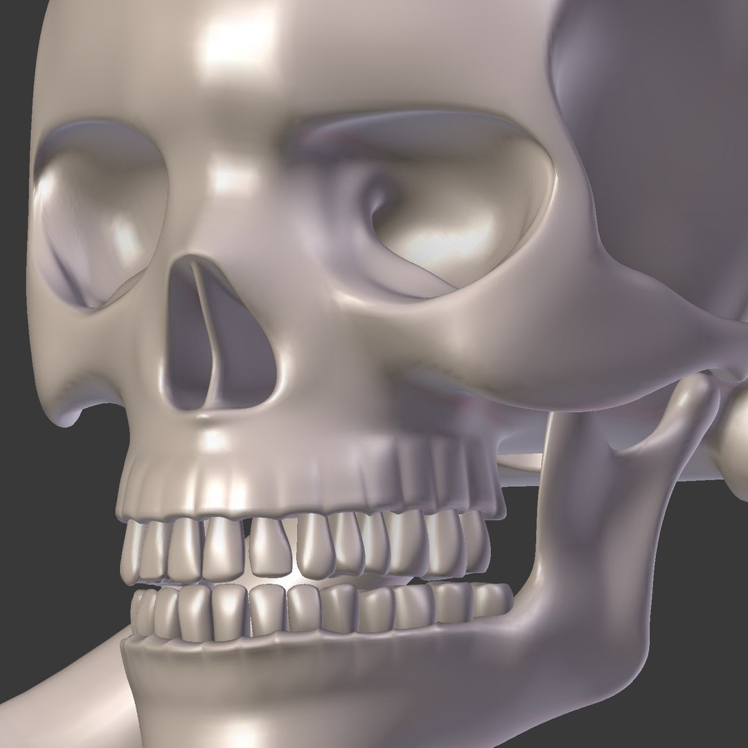 pirate skull 3D model https://p.turbosquid.com/ts-thumb/8J/WT0ayJ/yUpvdhLP/i32/jpg/1562671448/1920x1080/fit_q87/e93822f5b220d05038da03cc6f01170ed9b7a930/i32.jpg