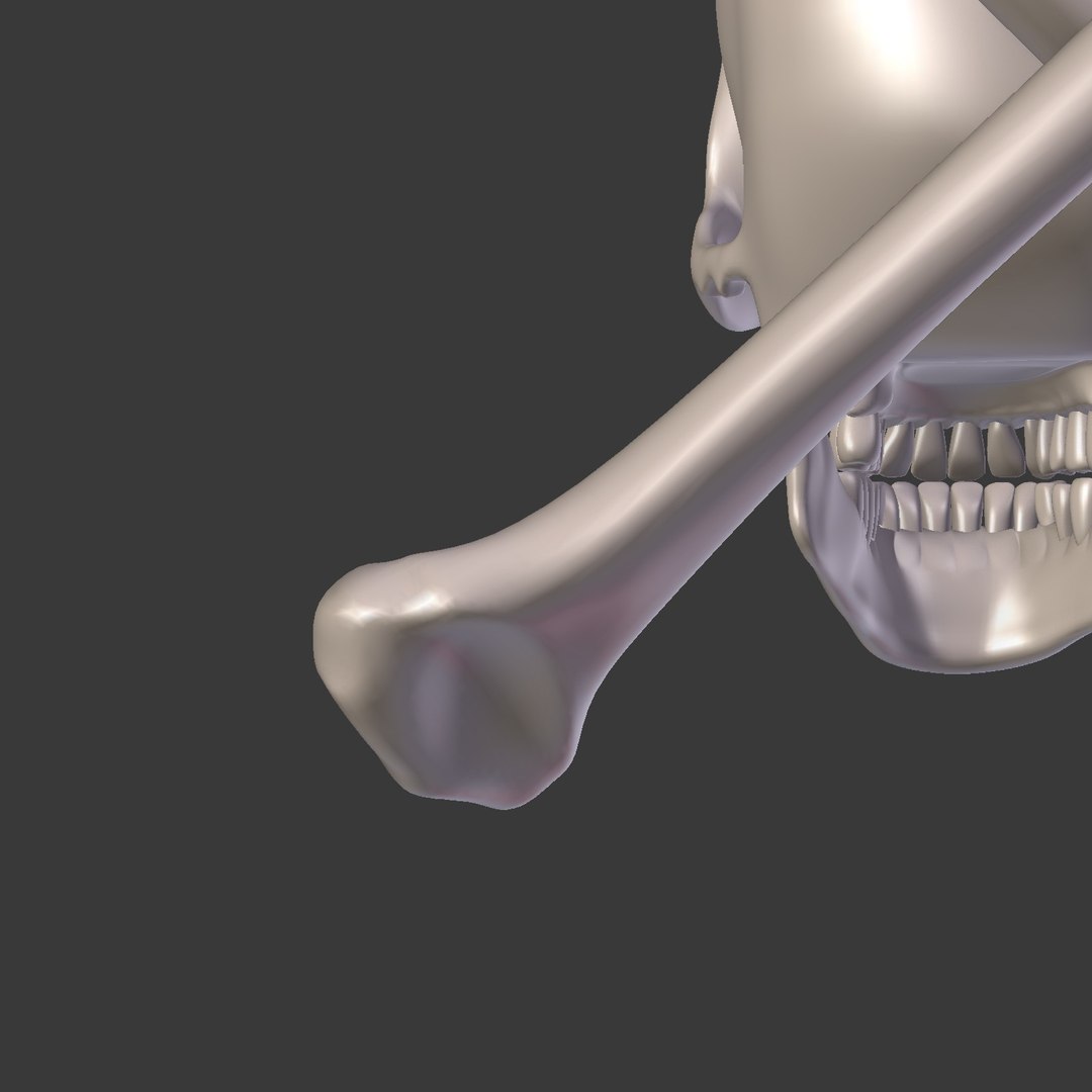 pirate skull 3D model https://p.turbosquid.com/ts-thumb/8J/WT0ayJ/zxoF1Dzu/i20/jpg/1562671448/1920x1080/fit_q87/2c6ab977dbeba3e2e82727a38c23313e973417c8/i20.jpg