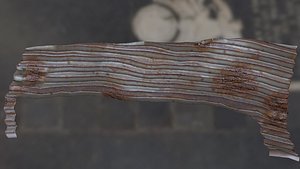 3d roof model