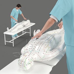 Asian Medic with Acupuncture Mannequin 3D model