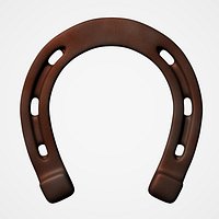 Old horseshoe (UV Mapped)