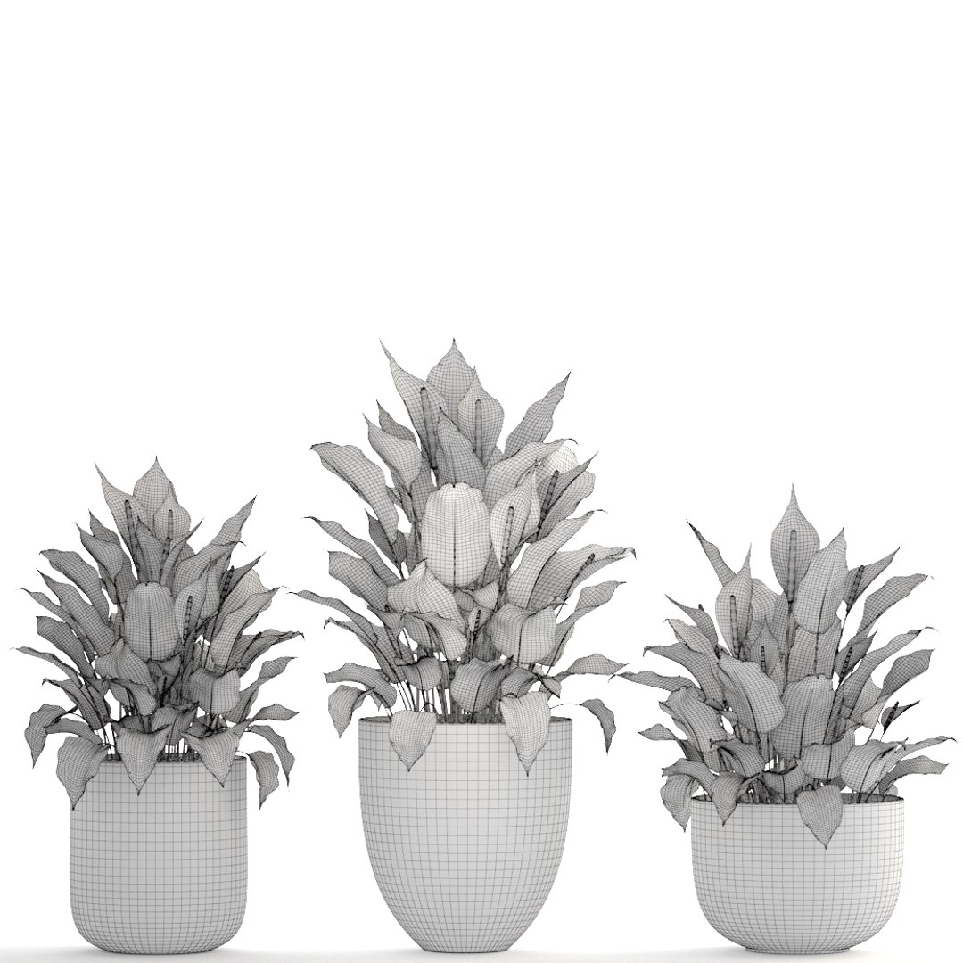3D plants spathiphyllum https://p.turbosquid.com/ts-thumb/8J/xH4F7Z/LYJ5ZBgo/spathiphyllum160409/jpg/1523880309/1920x1080/fit_q87/025194fd4477f7de8146ddee12c9c6c5e1c046c4/spathiphyllum160409.jpg