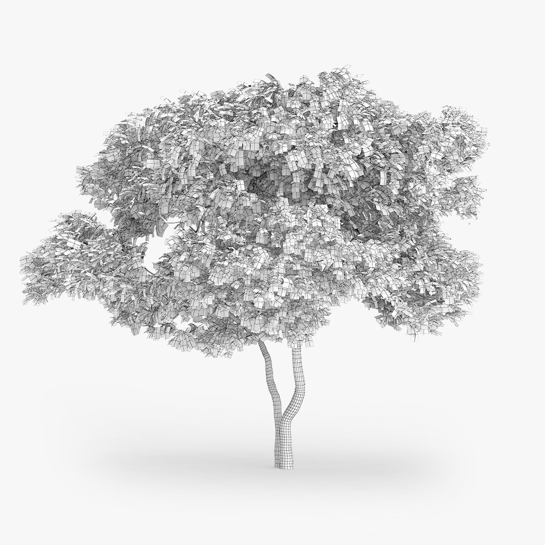 downy birch 7 7m max https://p.turbosquid.com/ts-thumb/8K/11lDNo/ORkgVLgD/1404/jpg/1442551871/1920x1080/fit_q87/2b6e46b3e6c128e685bc3e3181d672f66c6d5be0/1404.jpg