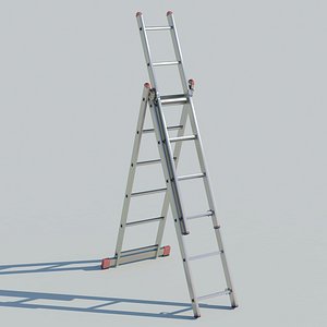 ladder model