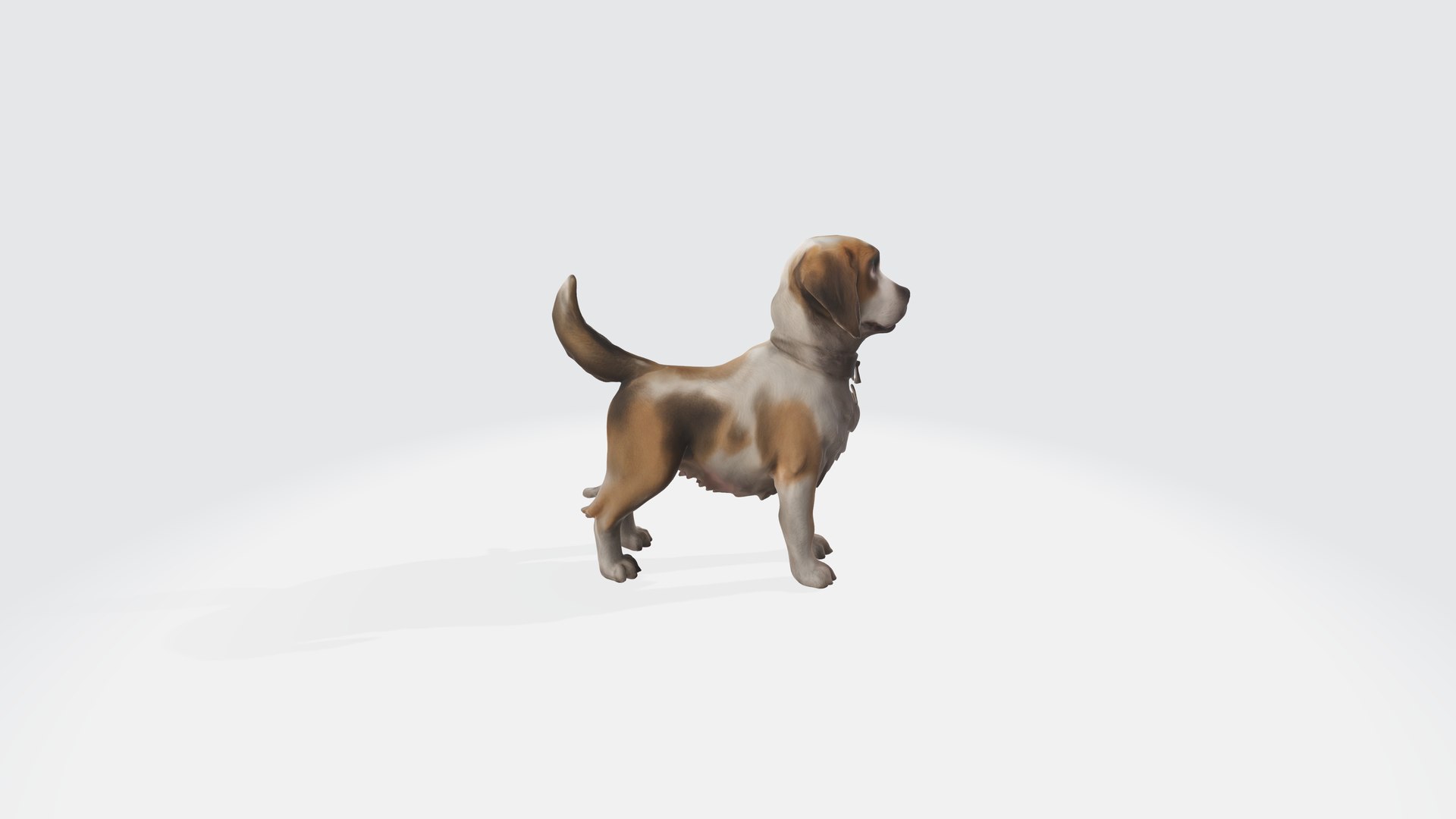 Realistic Dog 3D Model - Animated And Rigged 3D Model - TurboSquid 2278969