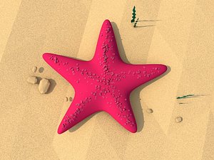 3D model cartoon starfish illustration