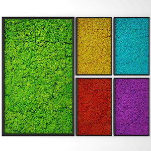3D stabilized moss