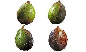 3D Coconuts pack model
