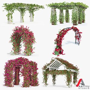 Set Bougainvillea Climbing Roses Of 6 Pergolas With Flowers Ivy