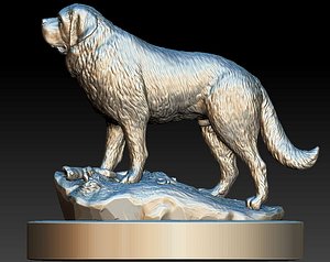 3D saint bernard dog model