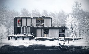 Winter house