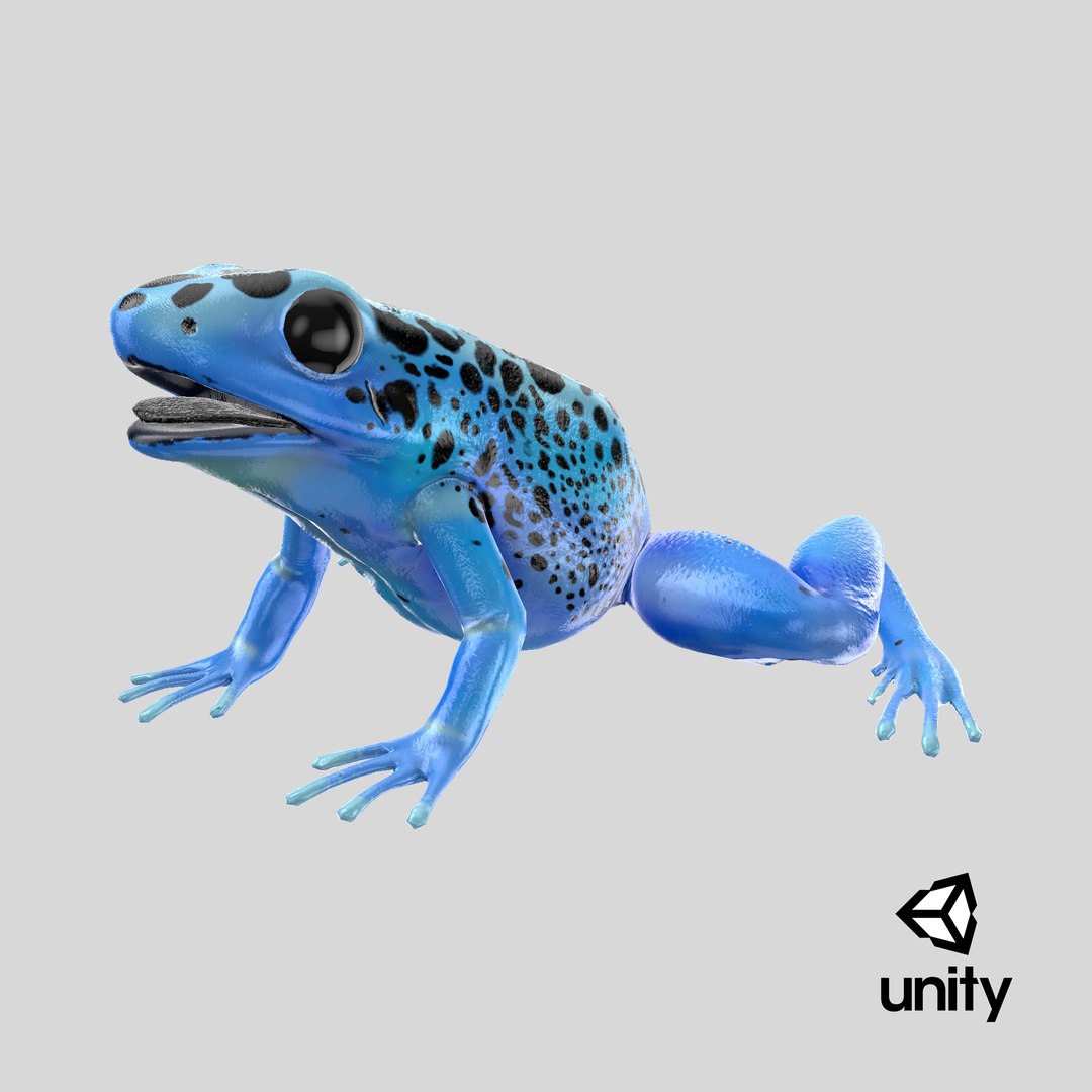 3D Blue Poison Dart Frog model https://p.turbosquid.com/ts-thumb/8L/9bCurq/2J/stemcell_unity_render/png/1710407816/1920x1080/fit_q87/fa69621a4c6396b818c094dc0a097d0974493ffc/stemcell_unity_render.jpg
